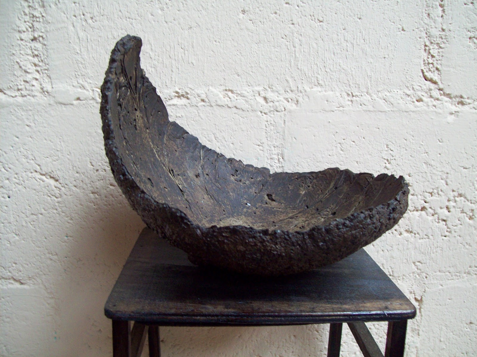 Pasión por el Bonsai Kuramas