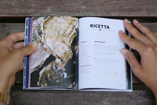 Recipe Book Design