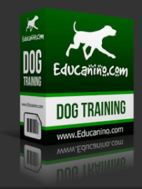 Curso Adiestramiento Canino