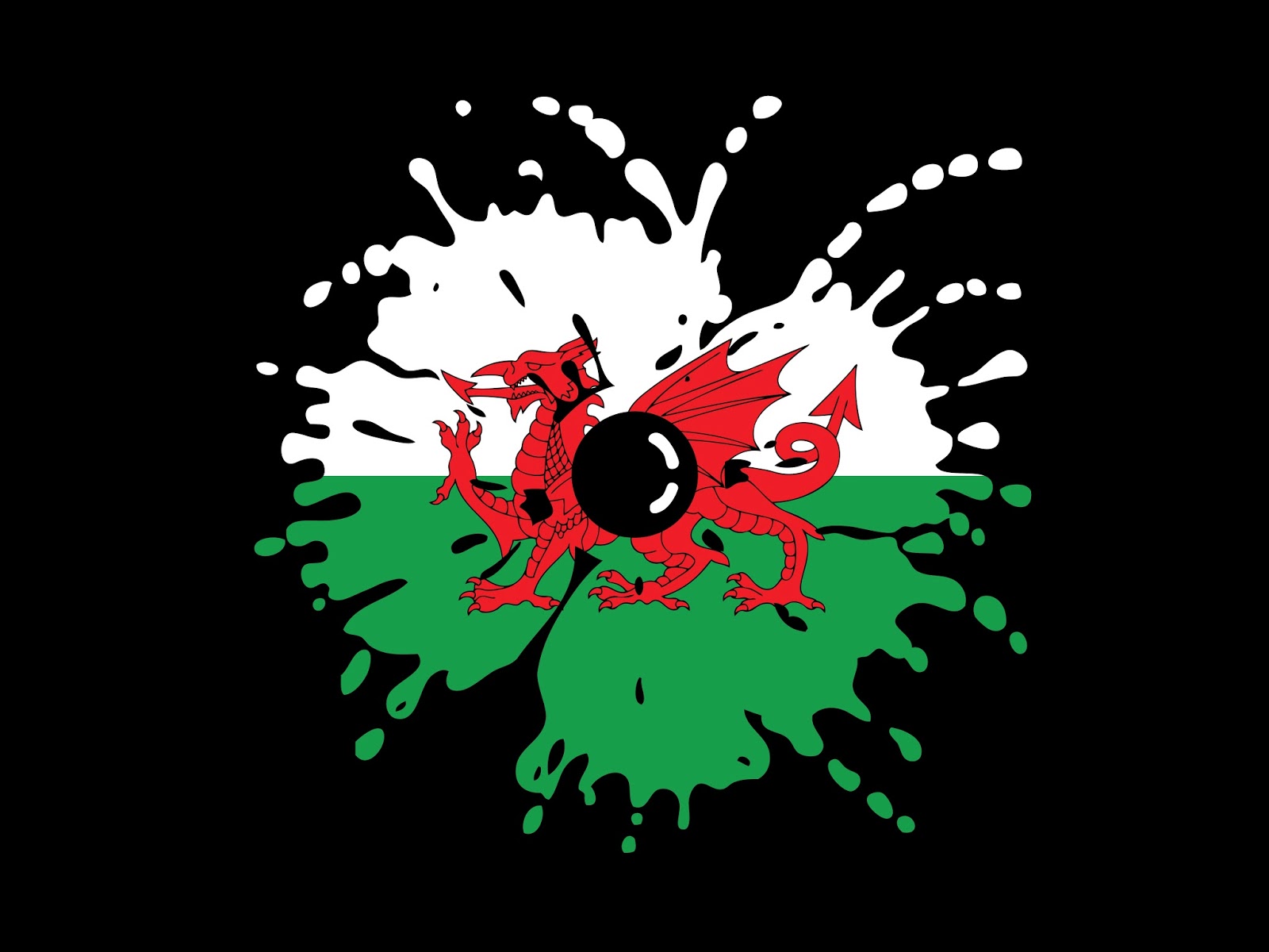 In The Poppy Fields: Flag Poppies!