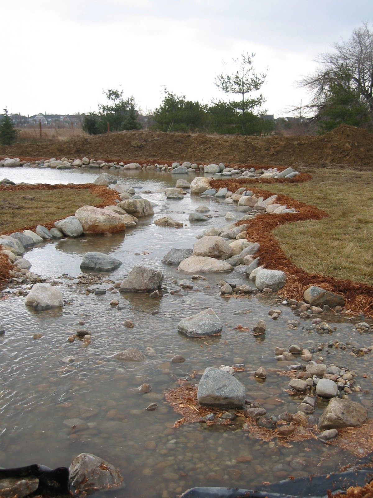 The Benefits of Adding a Stream to Your Pond