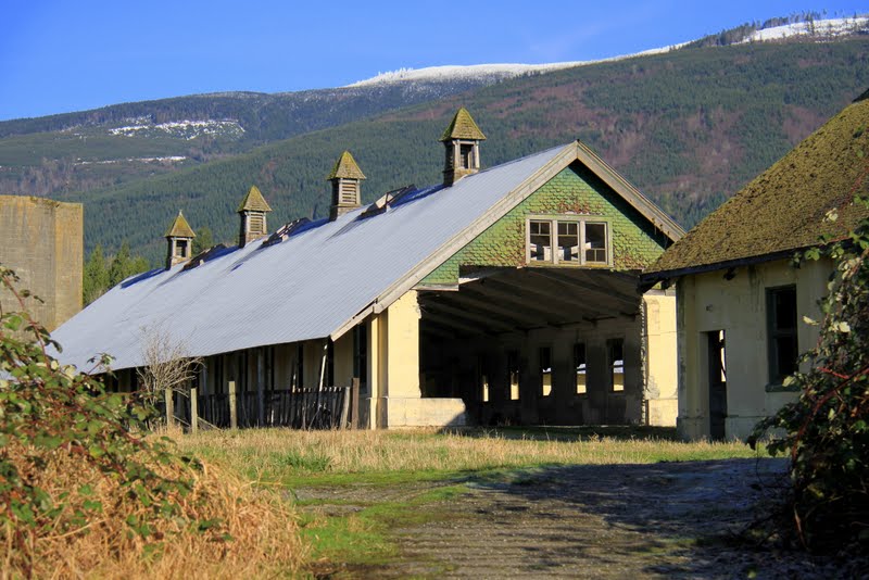 Serendipity and Orchids Northern State Hospital, SedroWoolley