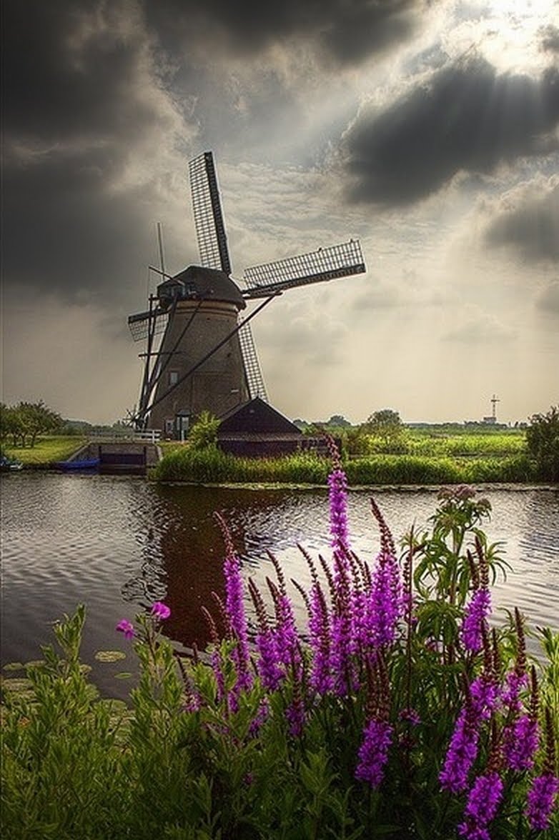 The Nicest Pictures: holland