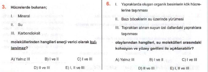 Ygs lys ve okul sınavlarına hazırlık: CANLILARIN ORTAK ÖZELLİKLERİ