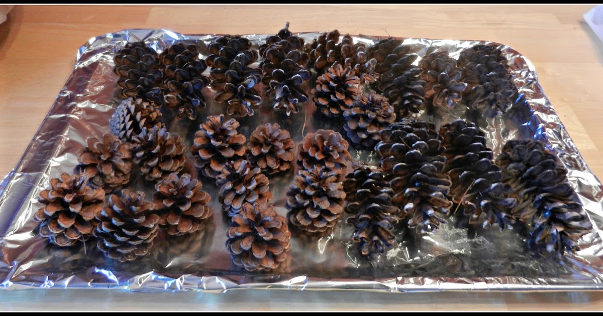 Ginger Made That Ding! My house smells like a Christmas tree...