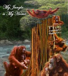 Orang Utan Bukit lawangh