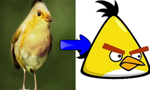 Gambar-Gambar Karakter Angry Bird Dalam Dunia Nyata