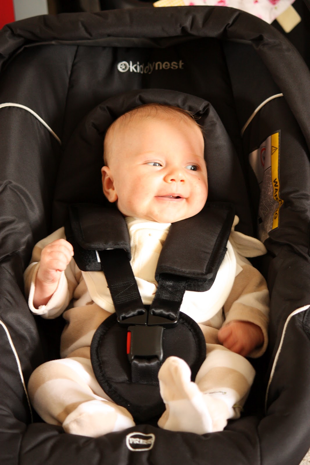 Mellow Mummy My Girls And Their Kiddy Car Seats Taking life as it