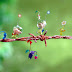 3D Desktop backgrounds | 3D Wallpapers for Windows Mac and Linux | HD Wallpapers for Windows