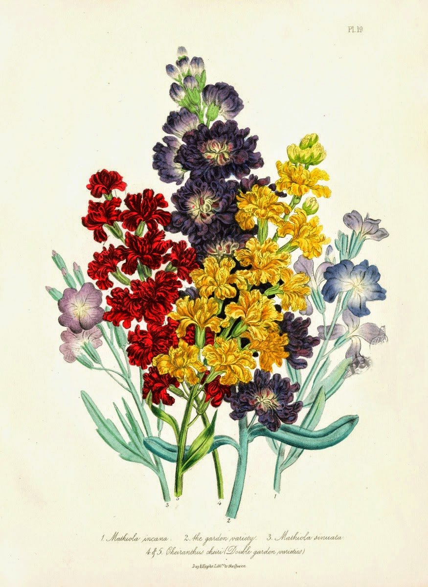 Infotainment @ www.keralites.net Fun & Info @ Keralites.net