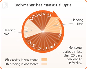 normal period cycle