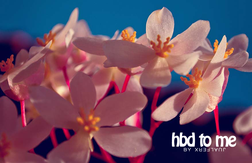 HBD TO ME!!! | JUALFERX