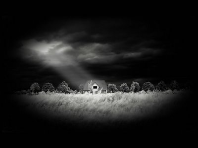 Black Apple Wallpaper wallpaper. Black Apple Wallpaper