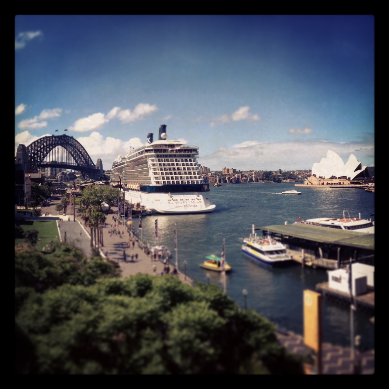 coach satchels 2015/7/9