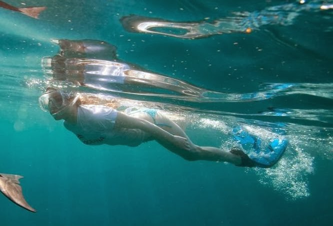 Retro Bikini: Miranda Cosgrove flaunts a Blue Bikini as she dives with