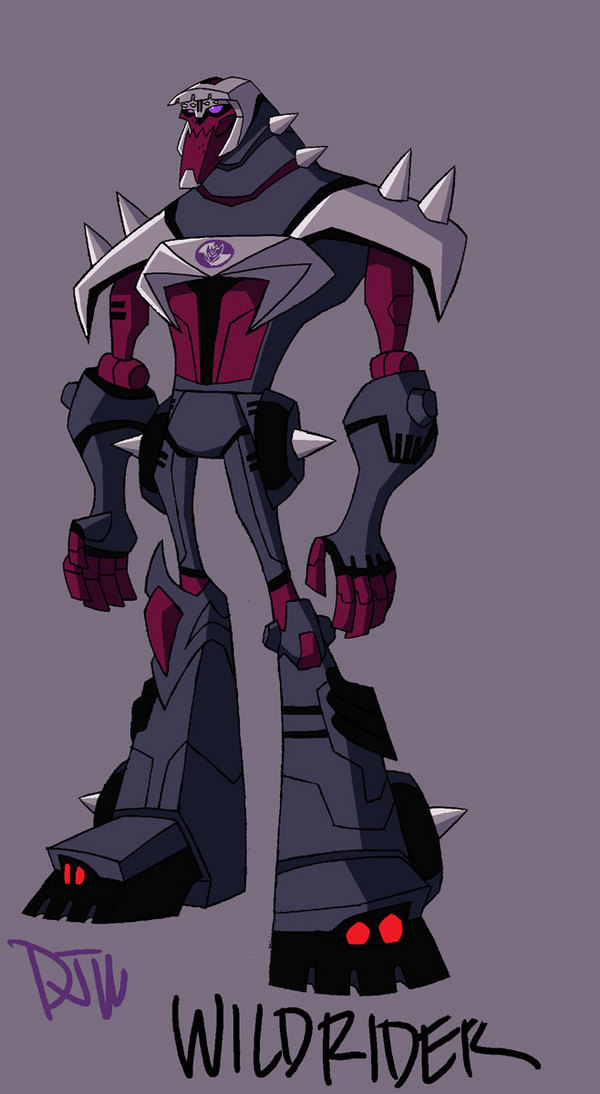 Toy Randomness Botcon 2011 Limited Transformers Animated Wild Rider