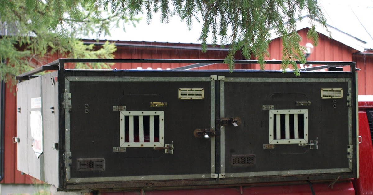 Katerina's Journal Transport Dog Box For Sale