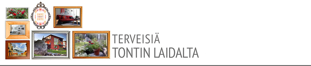 Tontin laidalta