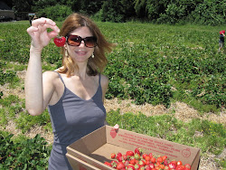 Strawberry Picking at Bishop's Orchard in Guilford, CT