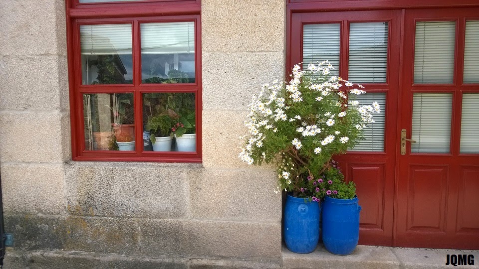 Jardines Que Me Gustan: Un jardín en cualquier rincón