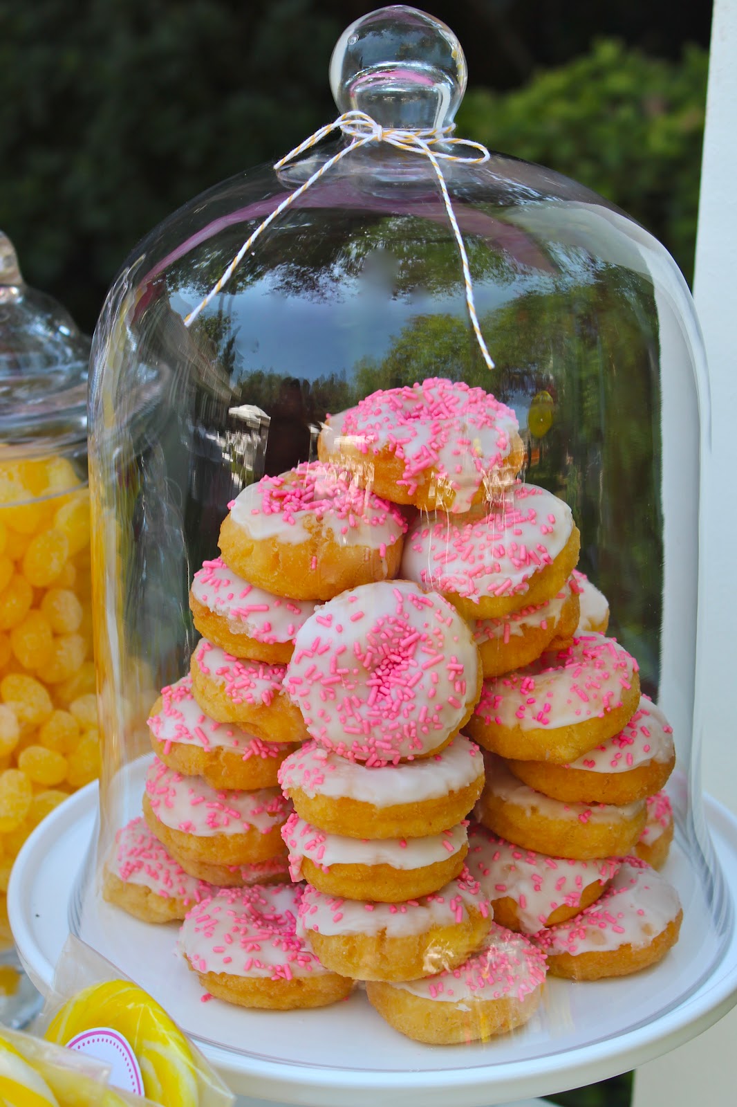 Lollipops and Lemonade Bloom Designs