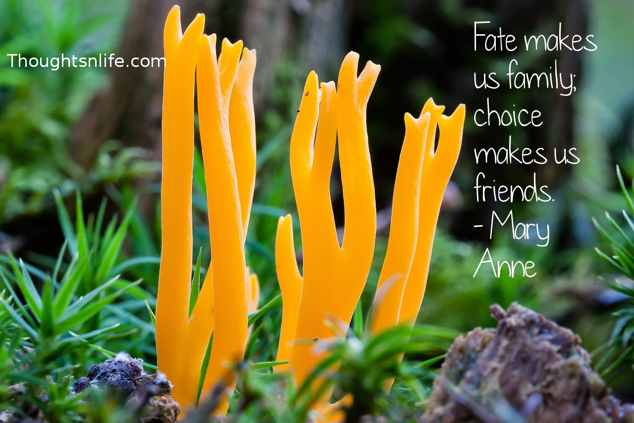 Thoughtsnlife.com: Fate makes us family; choice makes us friends. - Mary Anne Radmacher