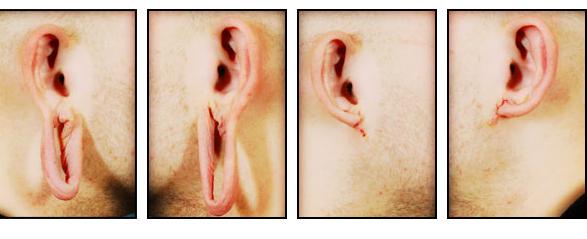 Ear Split