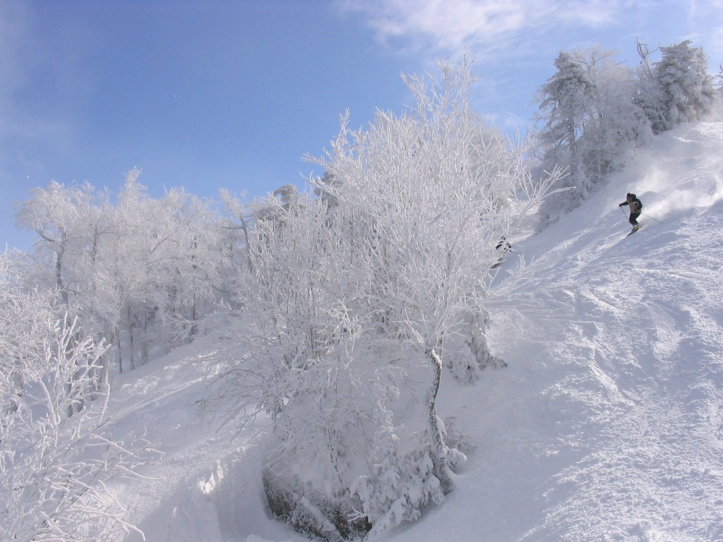Amazing Skiing Photos