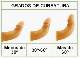 Las recetas públicas el aumento del miembro viril
