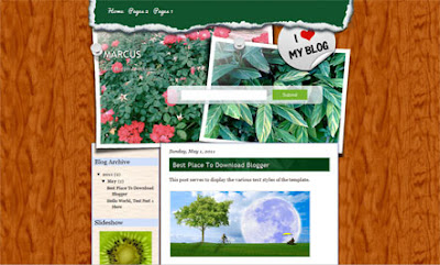Marcus Blogger Template