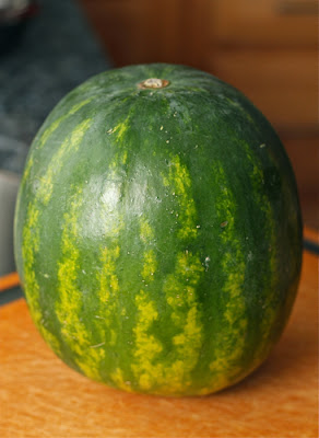 how to make dried watermelon slices