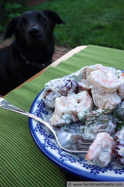 Roasted Shrimp and Potato Salad with Grapes and Celery