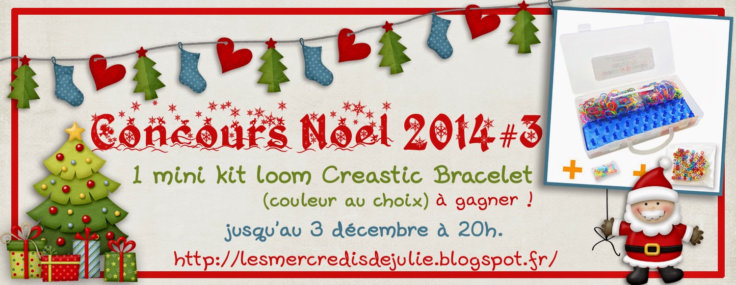http://lesmercredisdejulie.blogspot.fr/2014/11/coffret-cadeau-special-noel-loom.html