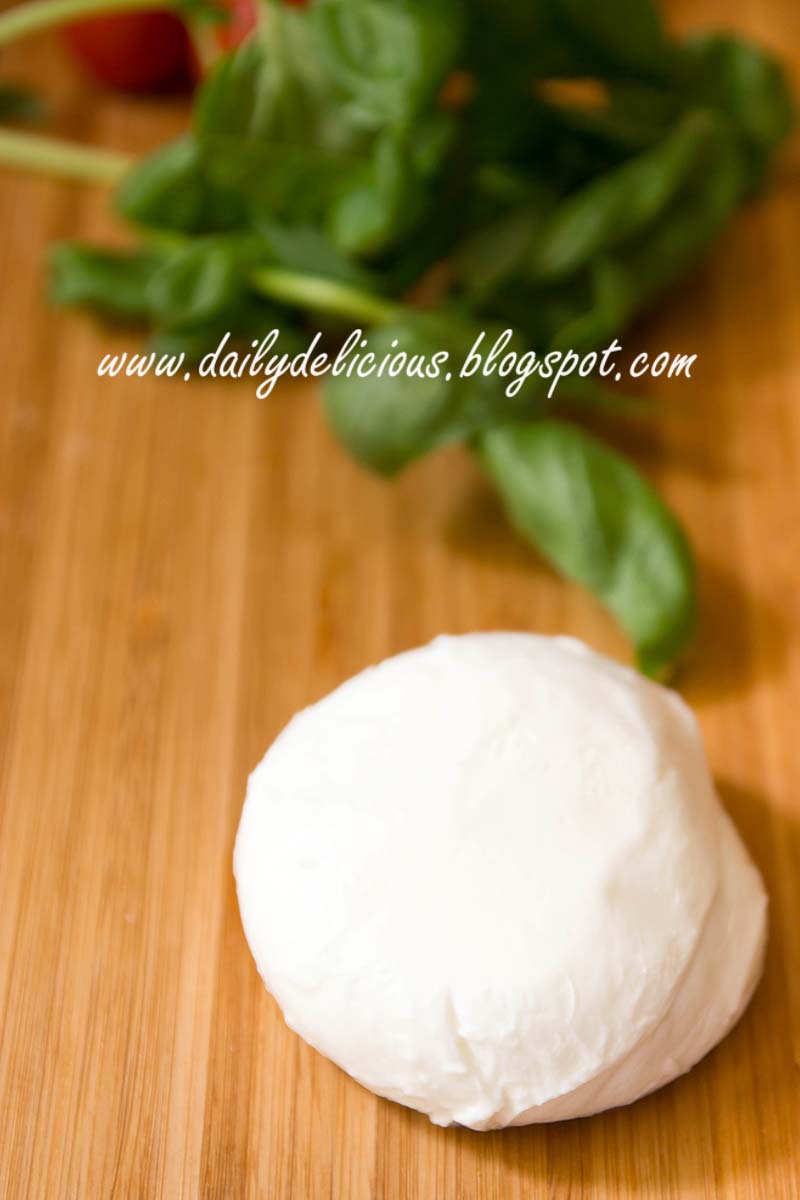 dailydelicious Cold Pasta with fresh tomatoes and Mozzarella cheese