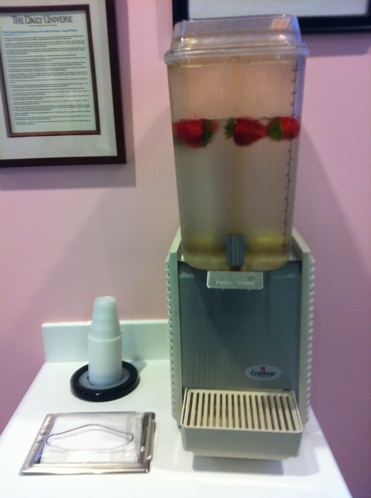 Utah County Mom Yogurtland in Orem