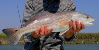 best fishing days best fishing times