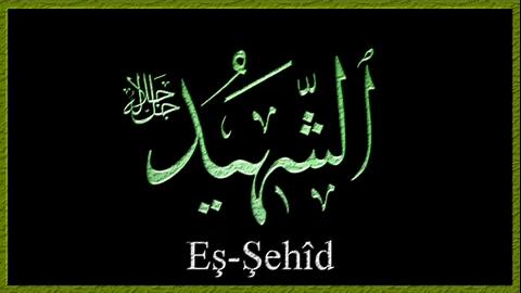 ŞEHİD