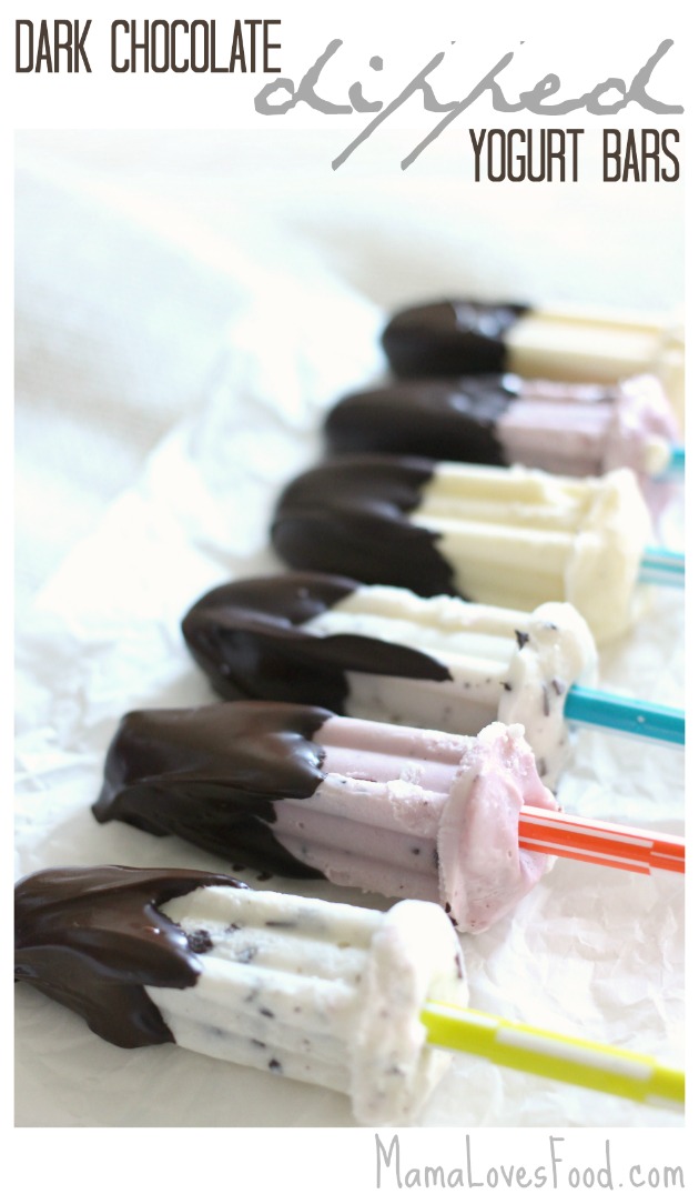 Dark Chocolate Dipped Frozen Yogurt Bars