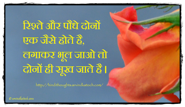 Relationship, plants, dry, forget, Meaning, Hindi Thought, Quote