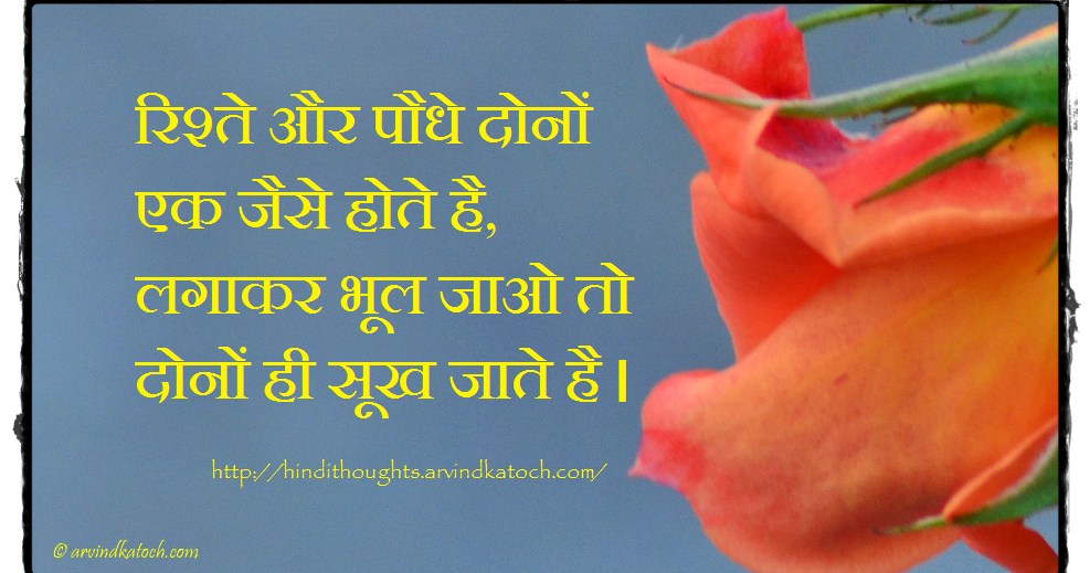 casual dating meaning in hindi Learn over 15 fantastic words that mean the opposite of casual what is the meaning of the word casual what is the hindi word for casual. casual dating meaning in hindi Learn over 15 fantastic words that mean the opposite of casual what is the meaning of the word casual what is the hindi word for casual.
