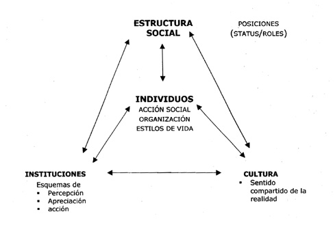 Estructura social y clasificación