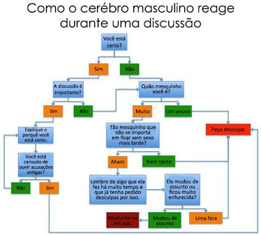 O cérebro masculino