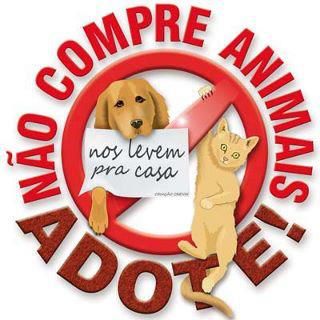 ADOTE UM ANIMALZINHO