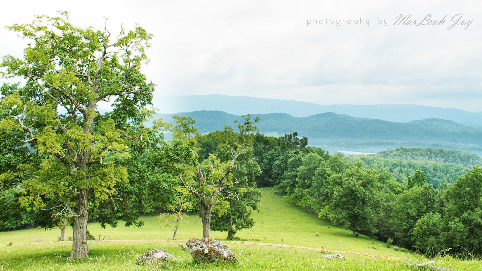 Photography by MarLeahJoy Asbury Knob, West Virginia