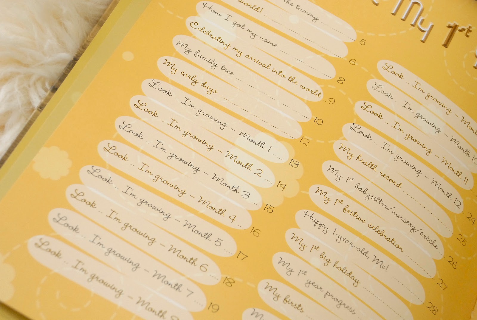 Baby Pregnancy Record Book