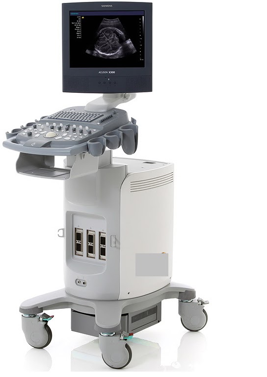 acuson x300