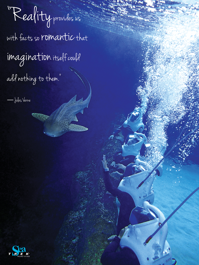 Shark Motivational Quotes. QuotesGram