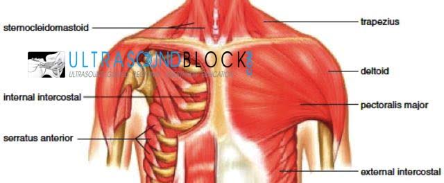 pec block