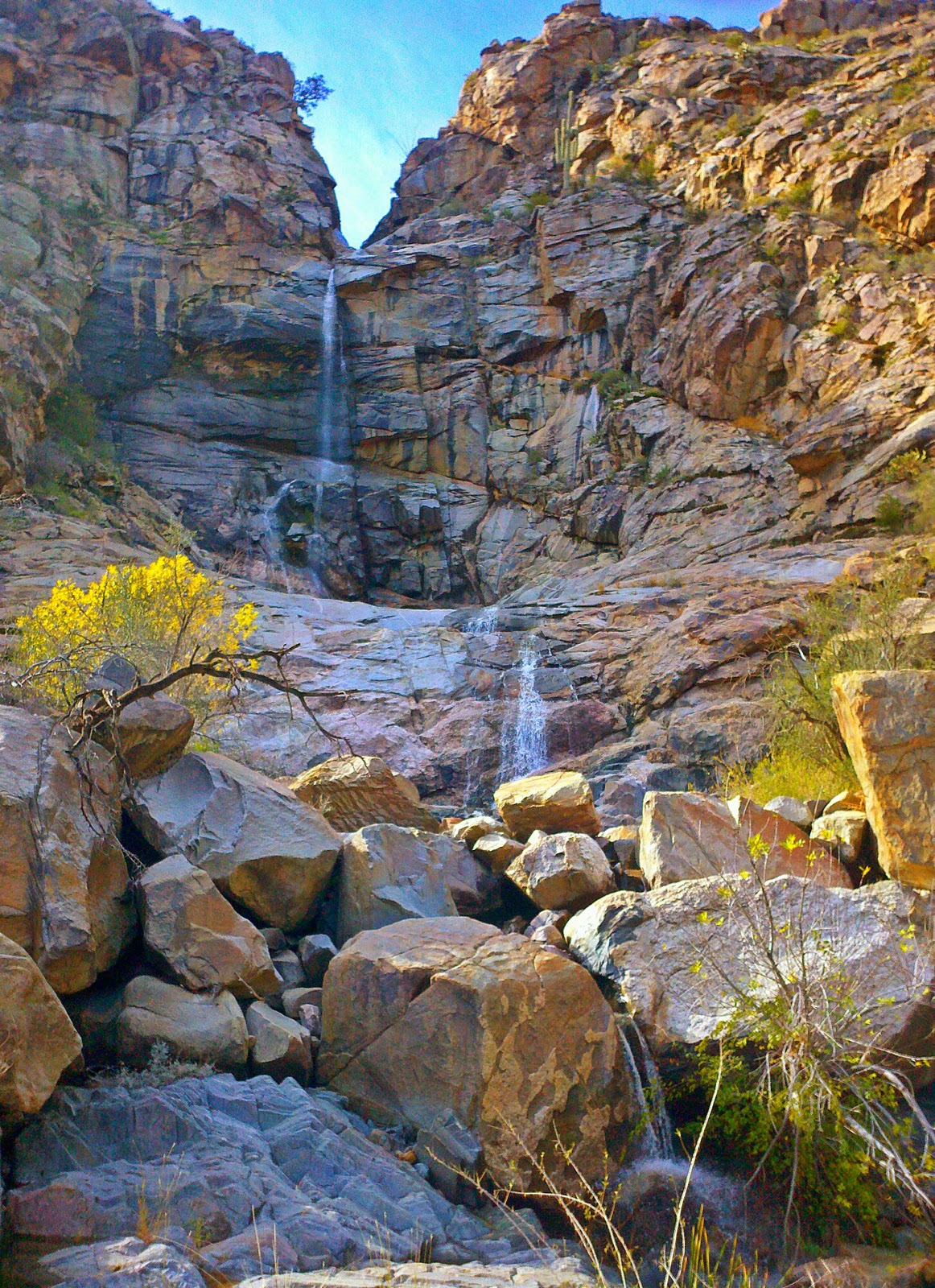 Bradshaw Mountains Bradshaw December 2012