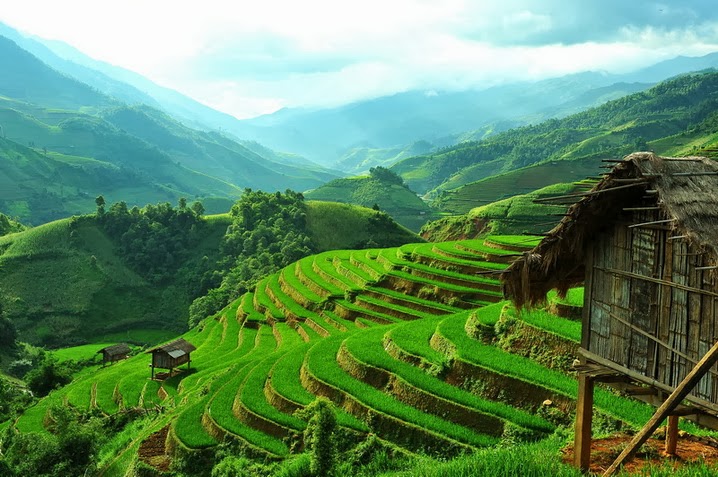 [Image: Vietnam-terrace-rice-field-6.jpg]
